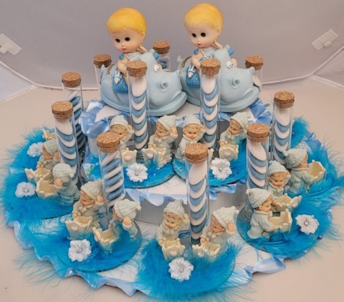 ../Images/plateau 2x fiurine r318 mai 2024.jpg